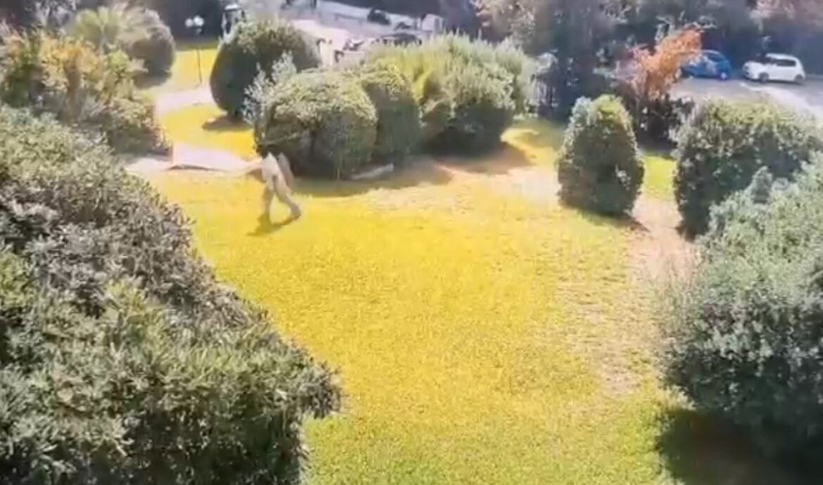 Βίντεο από τη δράση συμμορίας που εξαπατούσε ηλικιωμένους σε Χολαργό και Παλαιό Ψυχικό – Παρίσταναν τους υπαλλήλους του ΔΕΔΔΗΕ