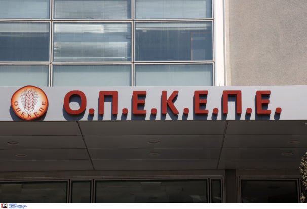 Δίκη για ΟΠΕΚΕΠΕ – Σημανδράκος: Παραιτήθηκα γιατί δεχόμουν ασφυκτικές πιέσεις από τον Αυγενάκη