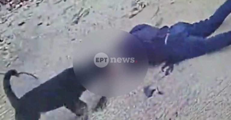 Καλαμάτα: Τι αποκάλυψε ο γιος του 76χρονου που δέχθηκε επίθεση από το ροτβάιλερ της οικογένειας