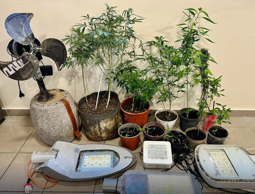 Μυτιλήνη: Συνελήφθη 53χρονος για καλλιέργεια δενδρυλλίων κάνναβης και κατοχή ναρκωτικών – ΦΩΤΟ