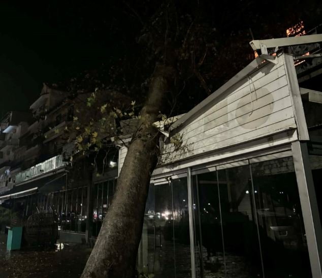 Ηγουμενίτσα: Πλάτανος έπεσε πάνω σε κατάστημα εστίασης – Δείτε βίντεο