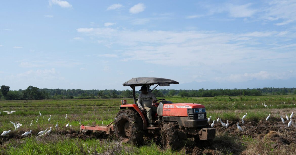 Αγρότες και κτηνοτρόφοι: Έφτασε η έγκριση των πληρωμών από την Κομισιόν, σε 10 ημέρες πληρώνεται το 70% – Τι δήλωσε ο Κωστής Χατζηδάκης