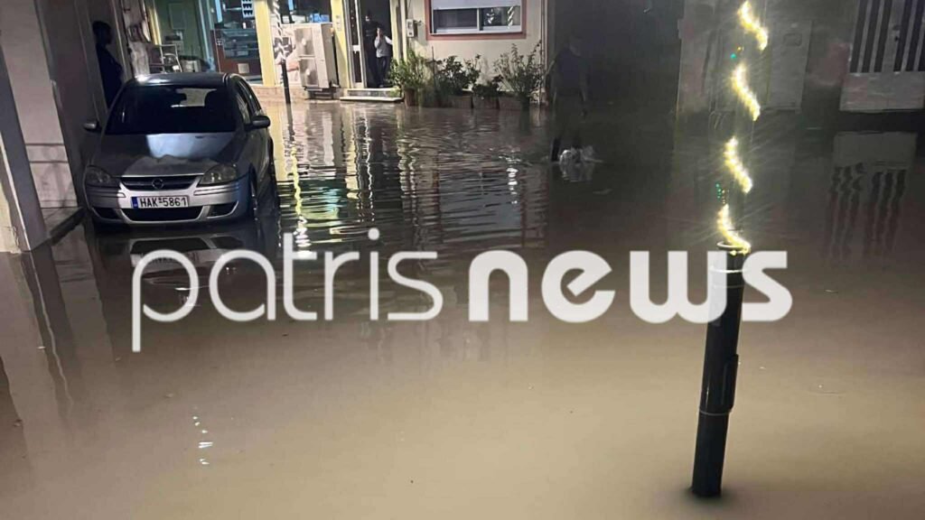 Ηλεία: Πλημμύρες στα Λεχαινά και άλλες περιοχές λόγω της κακοκαιρίας – Έπεσαν δέντρα στην παλαιά εθνική οδό