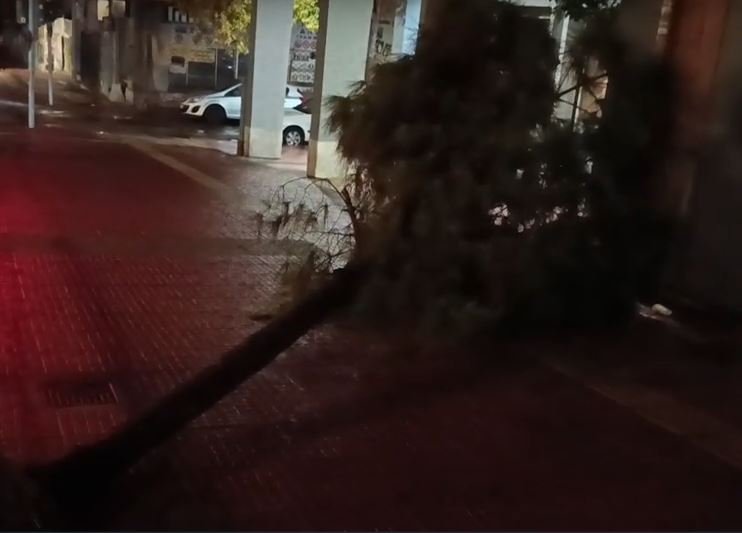 Κακοκαιρία Adel: Ξεριζώθηκε και έπεσε δέντρο στην Ομόνοια – Δείτε βίντεο