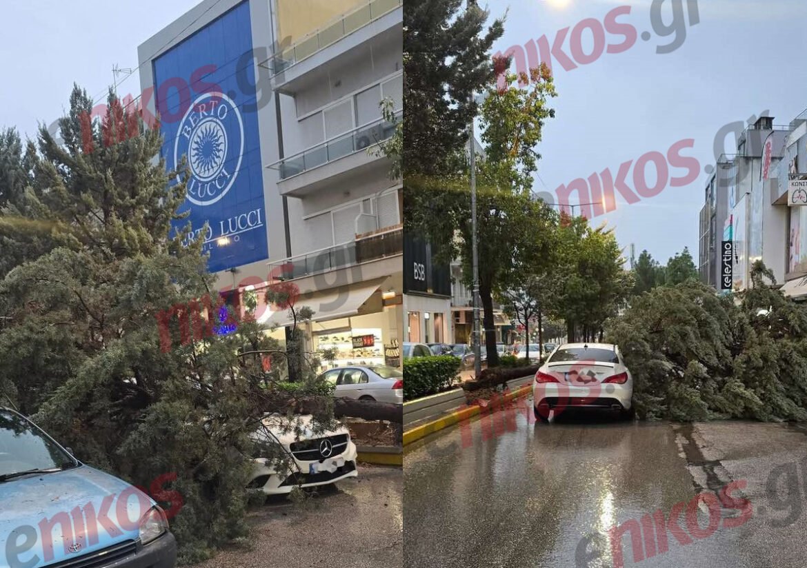 Κακοκαιρία Adel: Δέντρο έπεσε πάνω σε αυτοκίνητο στη Νέα Ιωνία – ΦΩΤΟ αναγνώστη