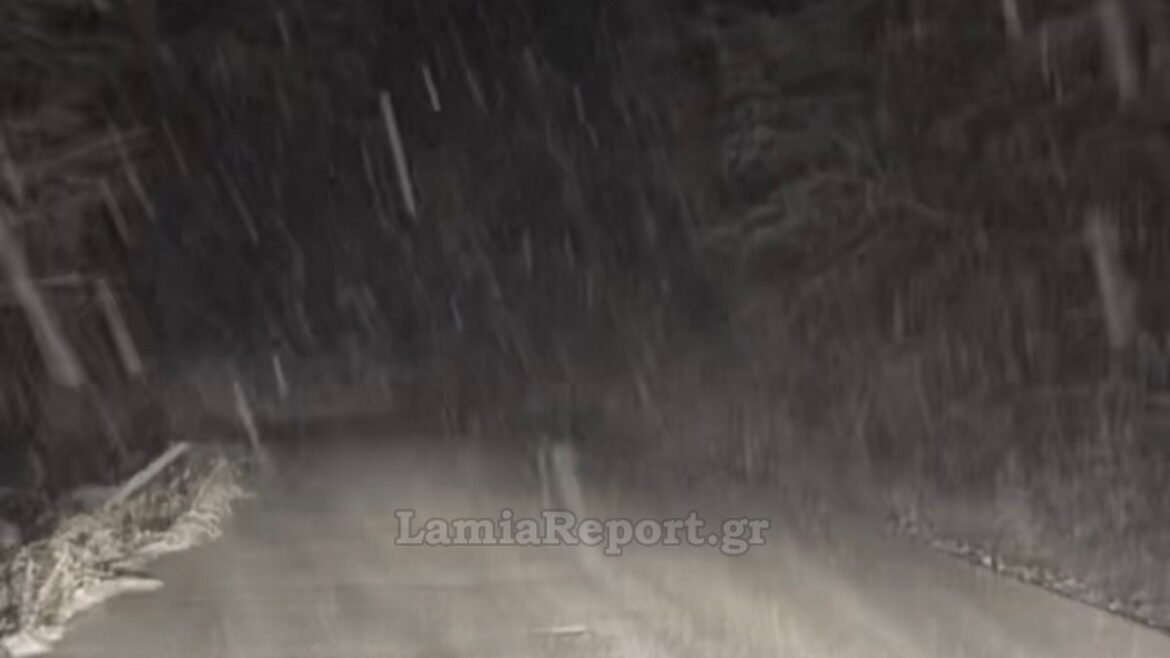 Φθιώτιδα: Πυκνό χιόνι στο δάσος της Οξυάς – Δείτε βίντεο