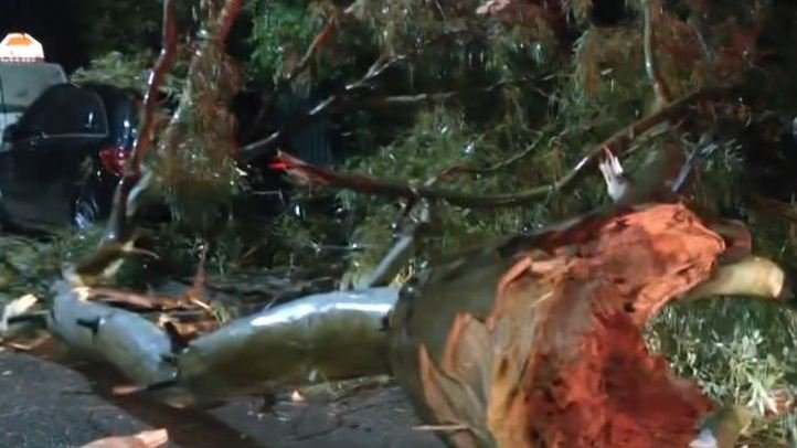 Προβλήματα από τη σφοδρή καταιγίδα στην Αττική: Πτώσεις δέντρων στην Κηφισιά