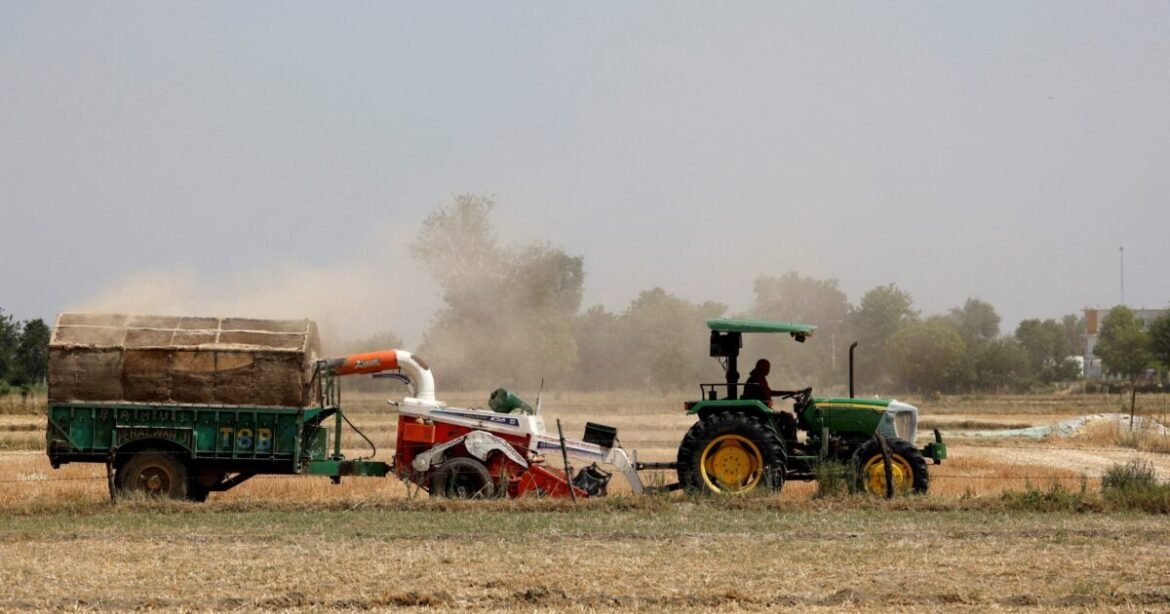 Αγρότες: Σε δύο δόσεις οι επόμενες πληρωμές για φυσικές καταστροφές, ευλογιά και αγροτική ανάπτυξη