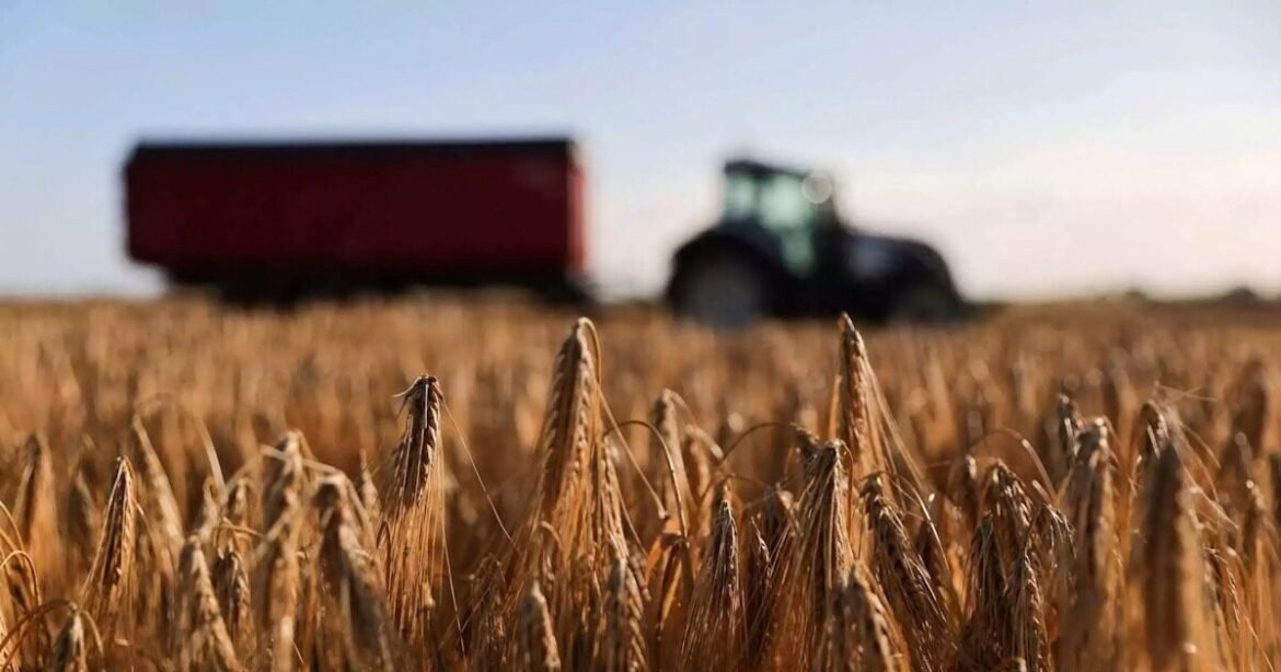 ΟΠΕΚΕΠΕ: Άνοιξε το σύστημα για διορθώσεις στην Ενιαία Αίτηση Ενίσχυσης 2025