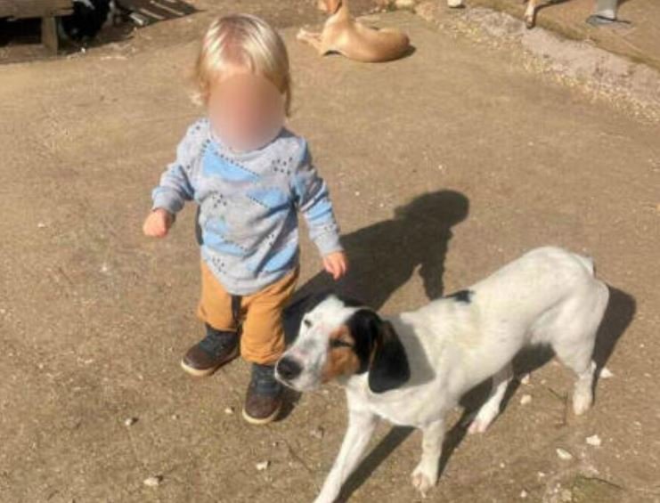 Τραγωδία στη Ζάκυνθο: Στην αγκαλιά του πατέρα του ξεψύχησε ο μικρός Λίο που σκοτώθηκε από το πίτμπουλ – Πήρε εξιτήριο η μητέρα του