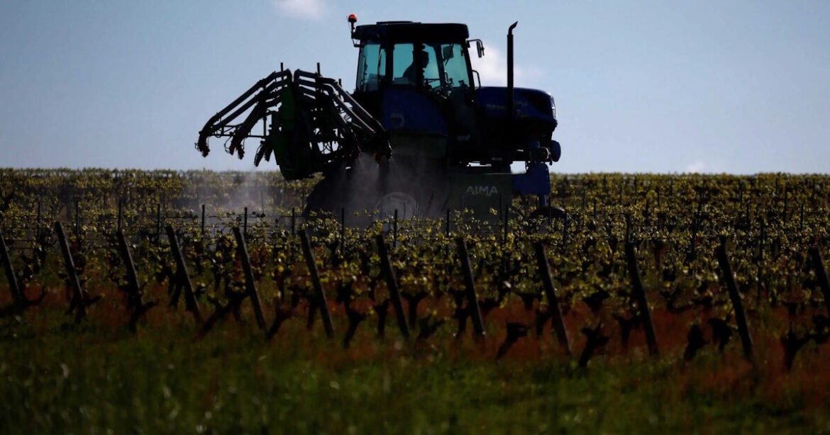 Αγρότες: Στα 3,8 δισ. ευρώ έως 31 Δεκεμβρίου 2025 οι πληρωμές μέσω ΟΠΕΚΕΠΕ, προϋπολογισμού και ΕΛΓΑ