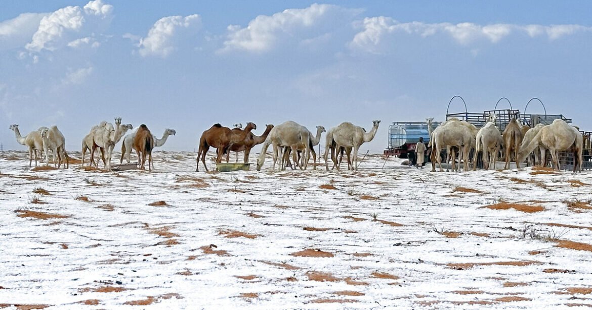 Χιόνια σε Σαουδική Αραβία και Κατάρ – Άσπρισαν ακόμα και οι αμμόλοφοι (Βίντεο)