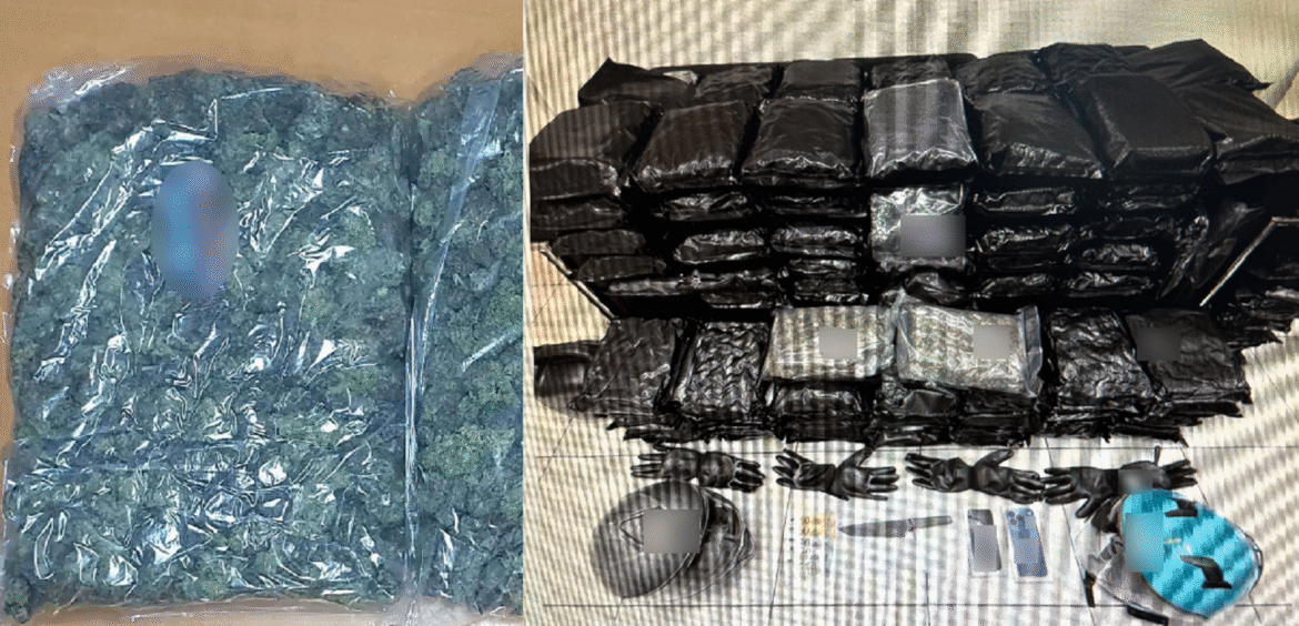 Βούλα: Συνελήφθη 24χρονος με 69 κιλά ακατέργαστης κάνναβης – Κυκλοφορούσε με κλεμμένο αυτοκίνητο