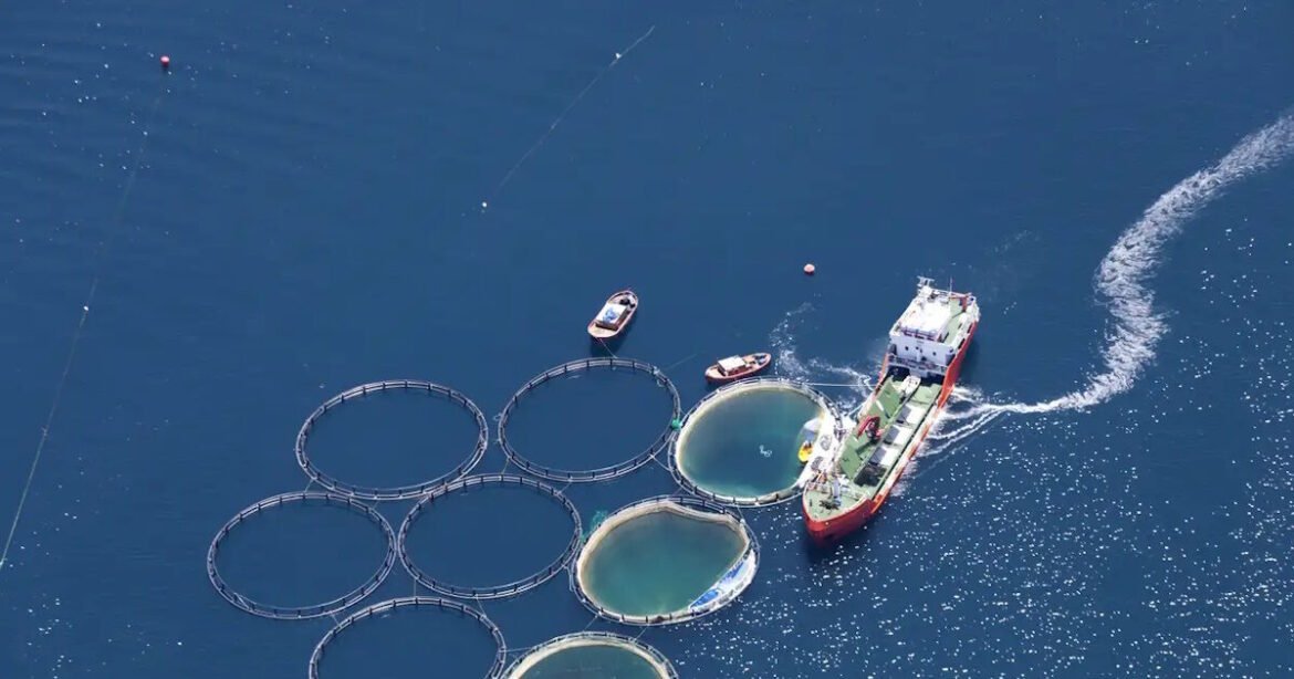 Υδατοκαλλιέργειες: Κατά 10,2% μειώθηκε η παραγωγή το 2024