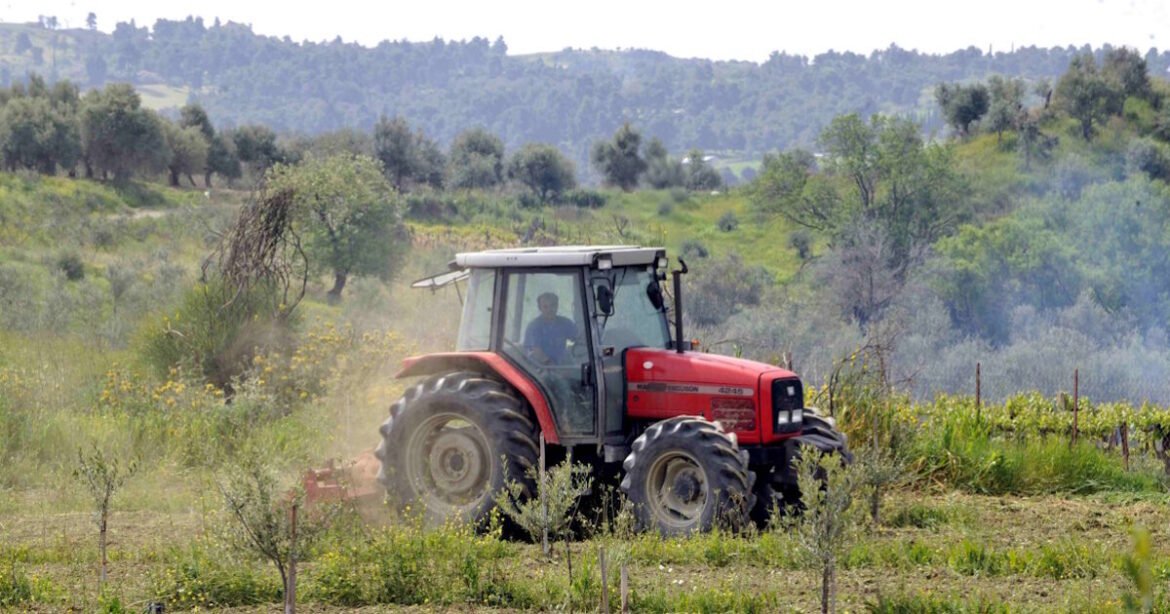 Στον Εισαγγελέα οι πρώτες 50 μαζικές διαγραφές αγροτεμαχίων στο Ε9 που εντοπίστηκαν από την ΑΑΔΕ
