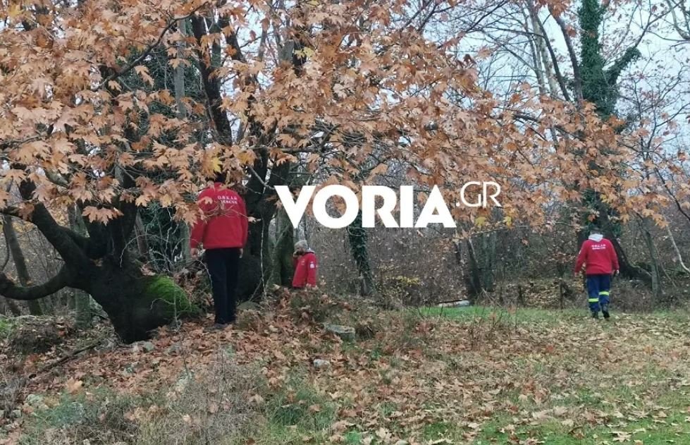 Σέρρες: Σαρώνουν πεδιάδα και βουνό για την εξαφάνιση του πυροσβέστη – Άκαρπες οι έρευνες – ΒΙΝΤΕΟ