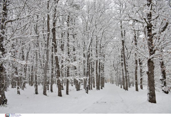 Καιρός: Πτώση της θερμοκρασίας και ισχυροί άνεμοι σήμερα – Η πρόγνωση ανά περιοχή μέχρι την Κυριακή