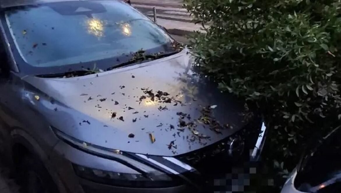 Ηράκλειο: Ισχυροί άνεμοι προκάλεσαν πτώσεις δέντρων – Αναστάτωση από την σύντομη καταιγίδα