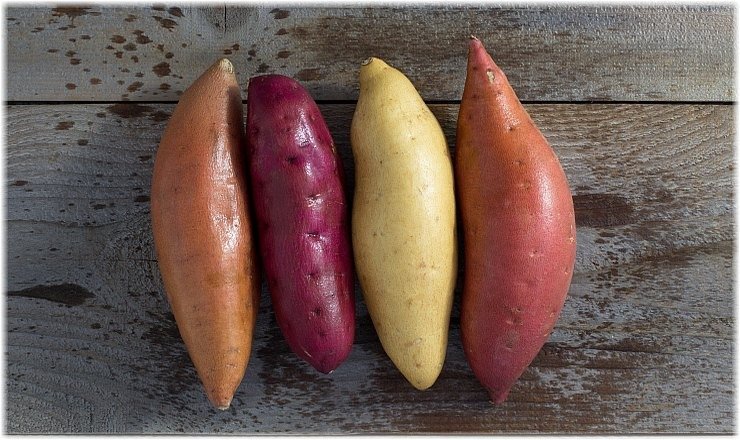 Γλυκοπατάτα: Η πιο… παρεξηγημένη υπερτροφή