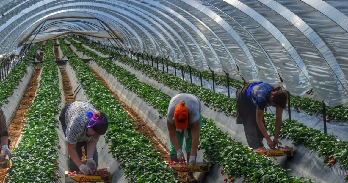 Τι προβλέπει η συμφωνία Mercosur – ΕΕ: Οι αντιδράσεις και το ευρωπαϊκό παρασκήνιο