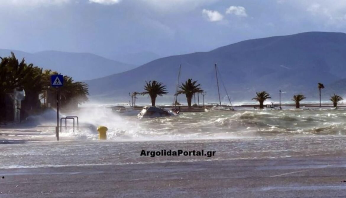 Προβλήματα στην Αργολίδα από τους ισχυρούς ανέμους – Έπεσαν δέντρα, έκλεισαν δρόμοι και κύματα βγήκαν… στη