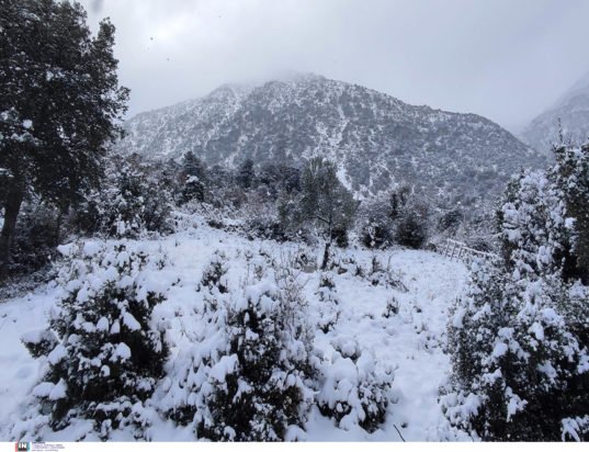 Συνεδρίασε η Επιτροπή Εκτίμησης Κινδύνου ενόψει της επιδείνωσης του καιρού – Οι συστάσεις της Πολιτικής