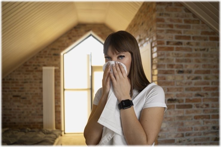 Πόσο τοξικά είναι τα σπίτια μας; Κάθε δωμάτιο κρύβει τον δικό του χημικό κίνδυνο