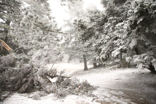 Καιρός – Καλλιάνος: «Έρχονται κρύο και επιλεκτικές χιονοπτώσεις» – Τι θα συμβεί στην Αττική