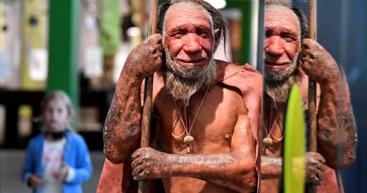 Γιβραλτάρ: Αρχαιολόγοι άνοιξαν σπήλαιο σφραγισμένο για 40.000 χρόνια και άλλαξαν την ιστορία