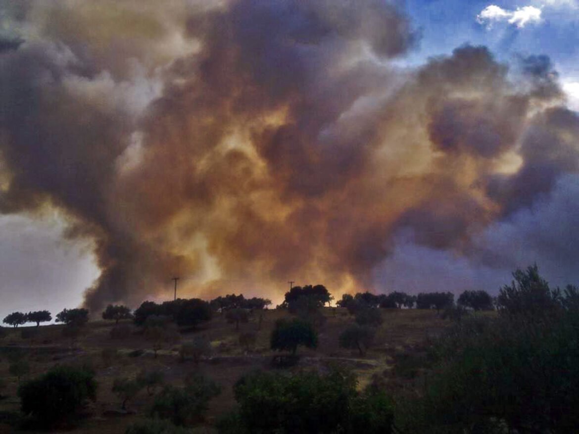 «Ενεργή Μάχη»: Νέο μοντέλο για τη Διεύθυνση Αντιμετώπισης Εγκλημάτων Εμπρησμού – Τι αλλάζει και πώς