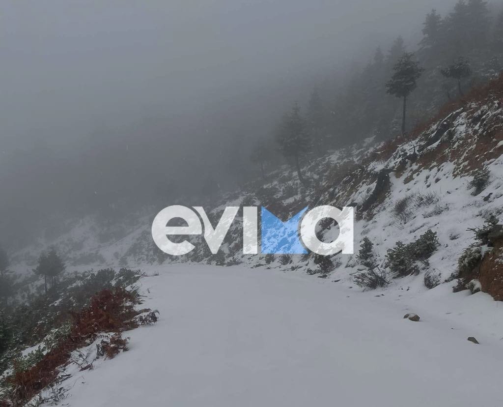 Το «έστρωσε» και στη Σέττα Ευβοίας – Πυκνή χιονόπτωση το βράδυ της Κυριακής – Δείτε βίντεο