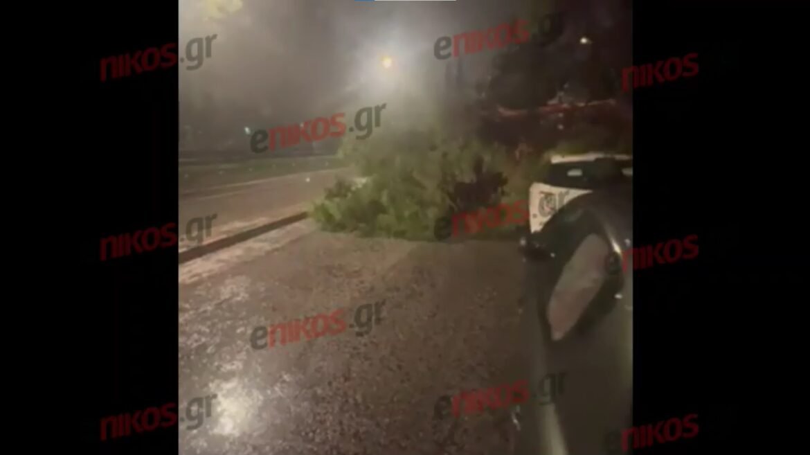 Κακοκαιρία: Πτώση δέντρου σε αυτοκίνητο στου Ζωγράφου – Βίντεο αναγνώστη