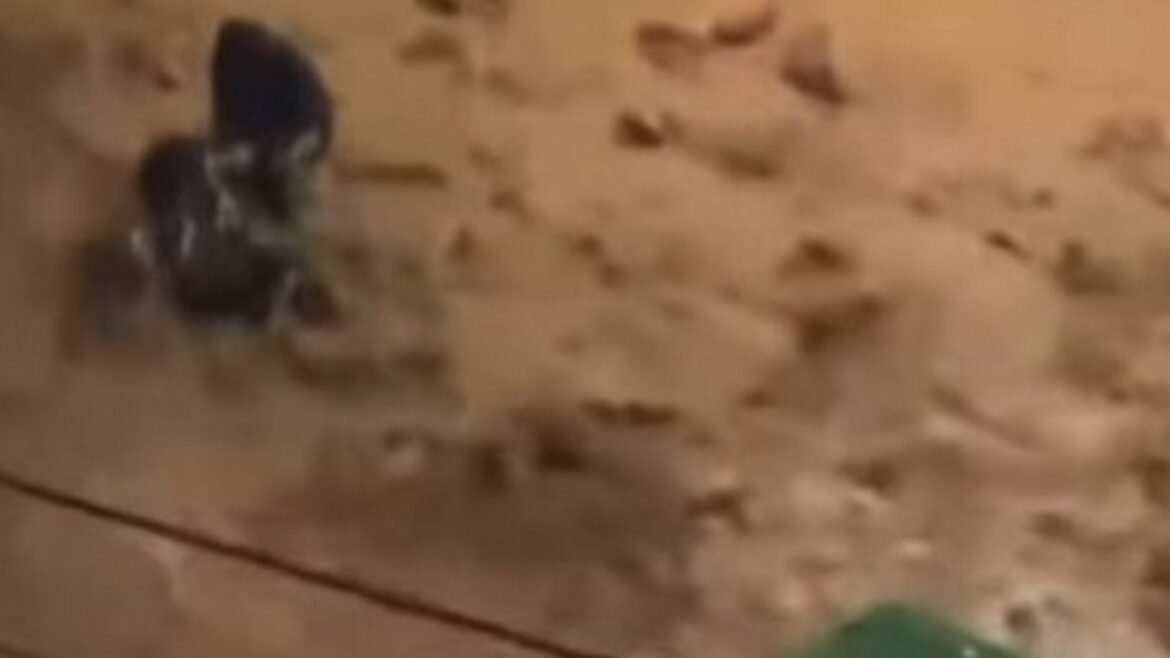 Κακοκαιρία: Δύο άνδρες έσωσαν μία άλλη γυναίκα στη Γλυφάδα κοντά στο σημείο της τραγωδίας – Δείτε το