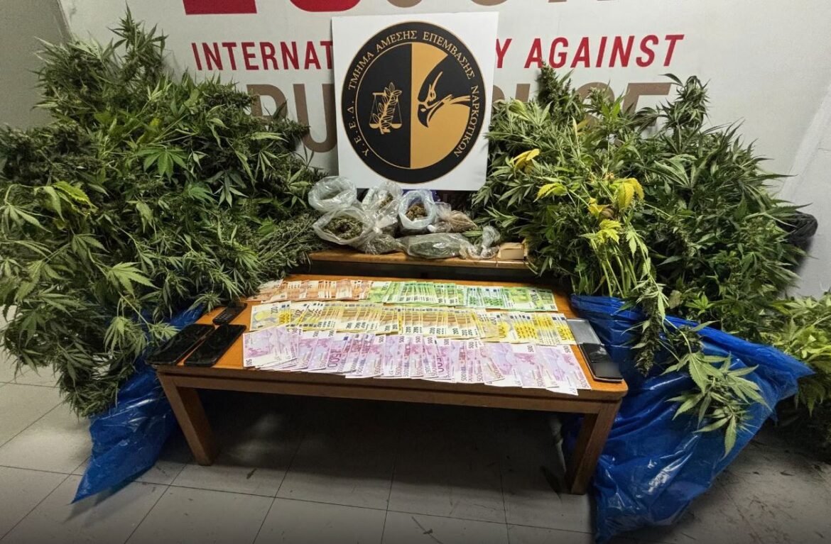 Κιάτο: Πλήρως εξοπλισμένο εργαστήριο καλλιέργειας κάνναβης εντοπίστηκε σε σπίτι – Συνελήφθη 51χρονος – ΦΩΤΟ και ΒΙΝΤΕΟ