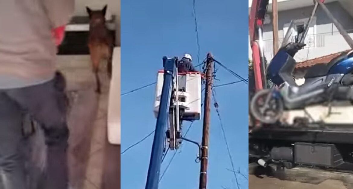 Ειδική επιχείρηση της ΕΛΑΣ σε οικισμό των Αχαρνών – Ξηλώθηκαν καλώδια 610 μέτρων που χρησιμοποιούνταν για ρευματοκλοπές, 9 συλλήψεις