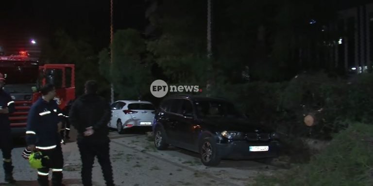 Χολαργός: Έπεσε δέντρο στη Μεσογείων – Ζημιές σε σταθμευμένο αυτοκίνητο