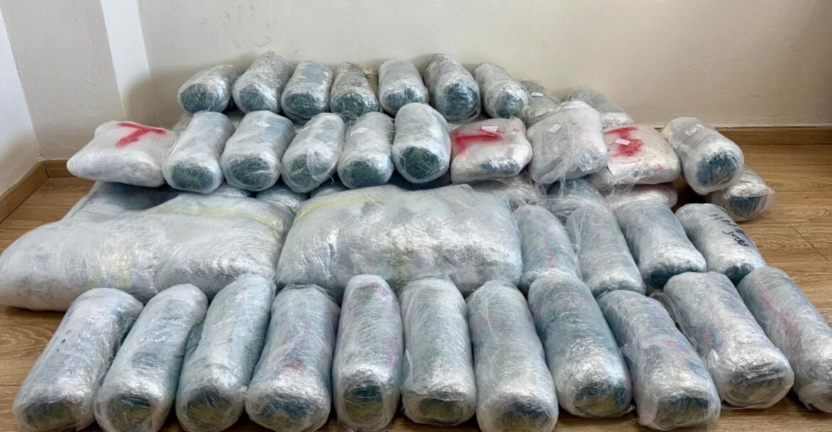 Θεσπρωτία: Αστυνομικοί εντόπισαν 75 κιλά χασίς σε όχημα – 1 σύλληψη – ΦΩΤΟ 