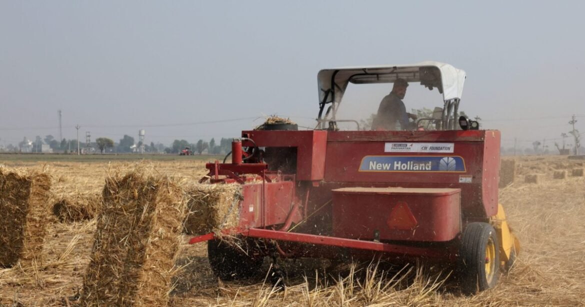 ΑΑΔΕ: Τη Δευτέρα ανοίγει ξανά το ΟΣΔΕ για διορθώσεις σε λάθη πληρωμών στην Ενιαία Αίτηση Ενίσχυσης 2024 και 2025