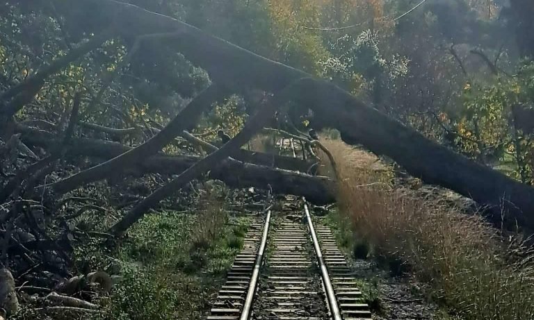 Hellenic Train: Aναστολή δρομολογίων στον Οδοντωτό Σιδηρόδρομο στο Διακοπτό – Έπεσαν δέντρα στις γραμμές