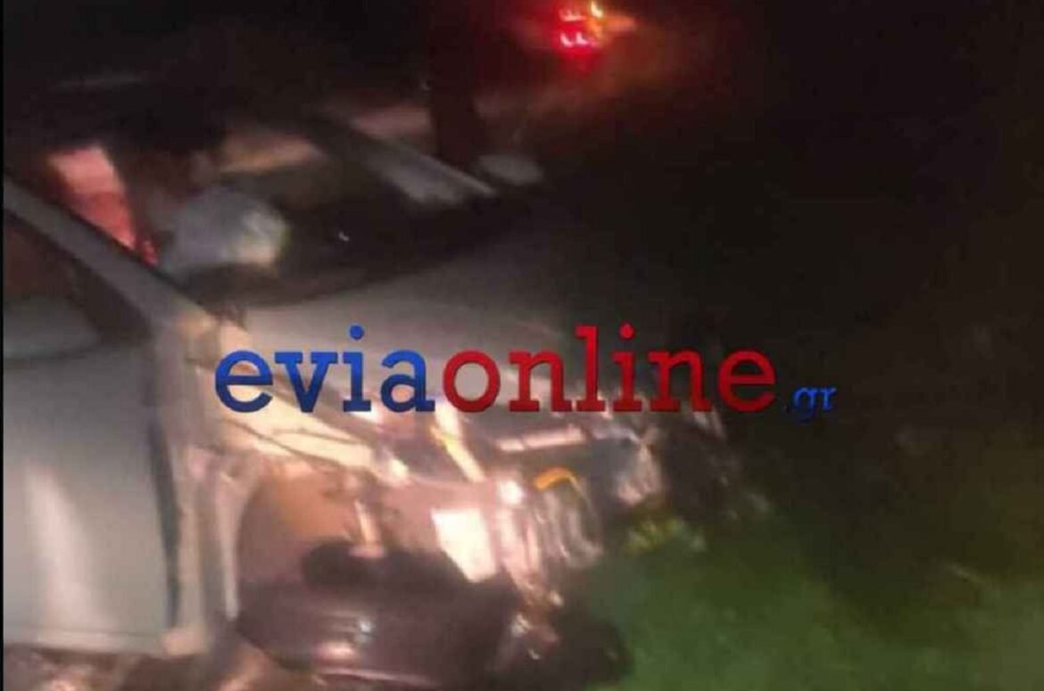 Τροχαίο στην Εύβοια: Αυτοκίνητο συγκρούστηκε με αγριογούρουνο – Τρείς τραυματίες – ΦΩΤΟ