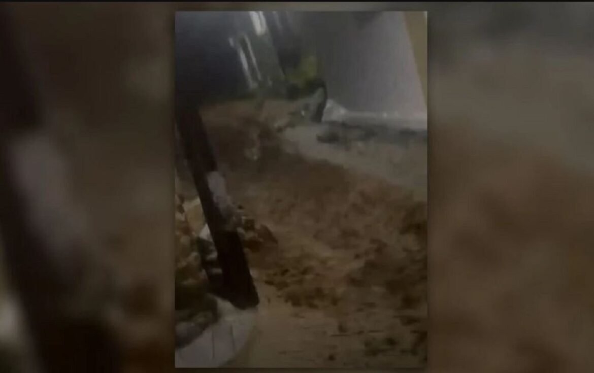 Κρήτη: Προβλήματα στο νησί από την κακοκαιρία – Χείμαρροι οι δρόμοι, πτώσεις δέντρων και κατολισθήσεις