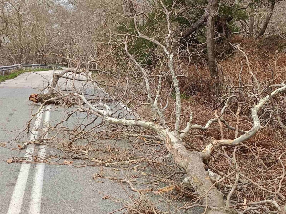 Απαγόρευση κυκλοφορίας σε Αλεξανδρούπολη και Σαμοθράκη λόγω των θυελλωδών ανέμων