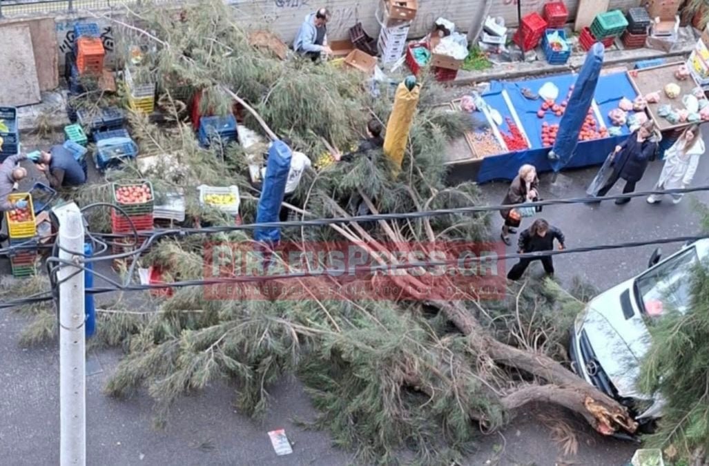 Πειραιάς: Τεράστιο δέντρο έπεσε σε πάγκους λαϊκής αγοράς – Από θαύμα δεν υπήρξαν θύματα – ΦΩΤΟ