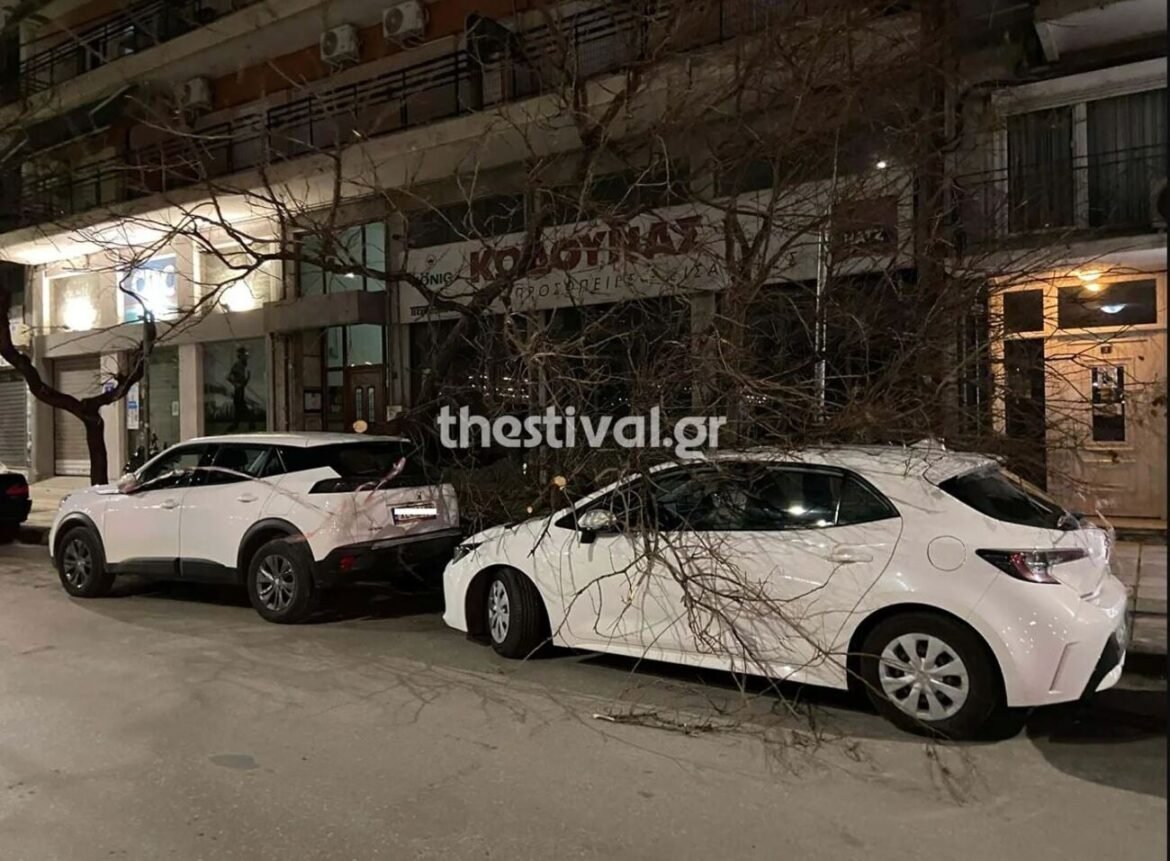 Θεσσαλονίκη: Πτώσεις δέντρων και ζημιές σε αυτοκίνητα από τους ισχυρούς ανέμους – Δεκάδες κλήσεις στην Πυροσβεστική