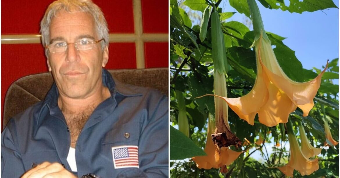 Νέα ζοφερά στοιχεία για Έπσταϊν: Είχε βρει φυτό που μετατρέπει ανθρώπους σε «ζόμπι» και δεν ανιχνεύεται