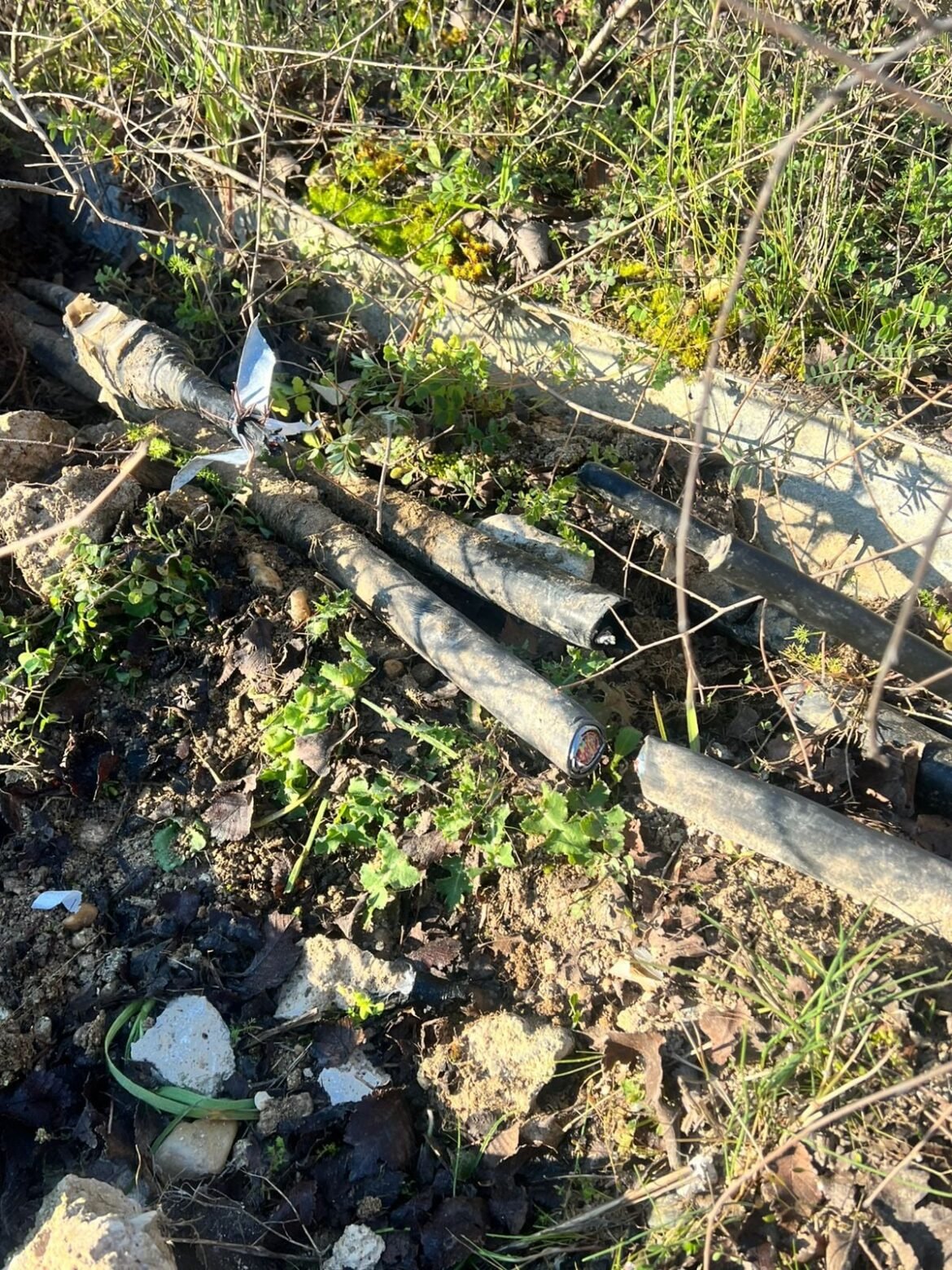 Κατερίνα Βουτσινά κατά Καρυστιανού για το σποτ των Τεμπών: «Σας απαγορεύω να αναφερθείτε ξανά στον αδελφό