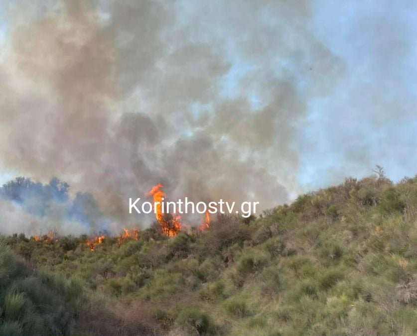 Φωτιά σε δασική έκταση στα Σοφιανά Κορινθίας – ΦΩΤΟ