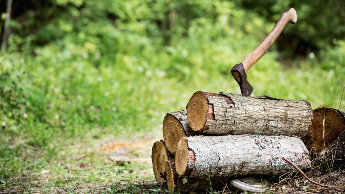 Αχαΐα: 62χρονος πήγε να κόψει ξύλα, τραυματίστηκε με τσεκούρι και πέθανε στο δάσος