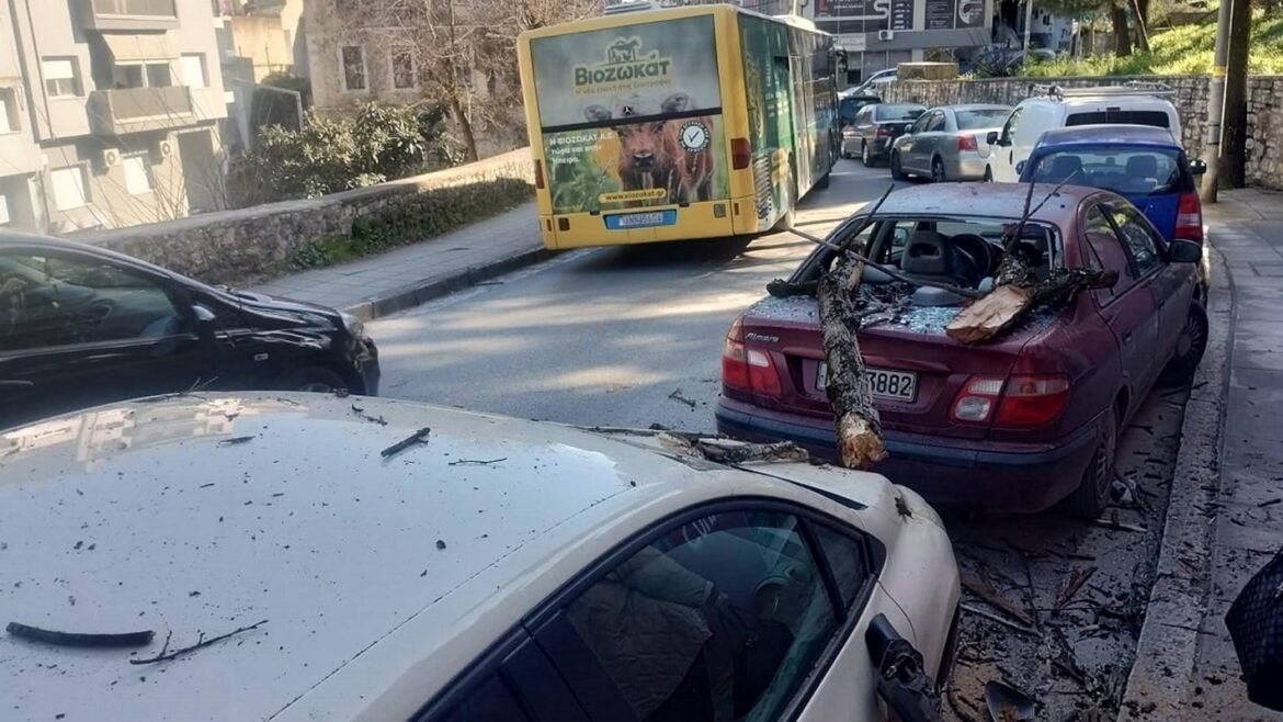 Ιωάννινα: Ζημιές σε οχήματα από την πτώση κλαδιών δέντρου – Δείτε φωτογραφίες