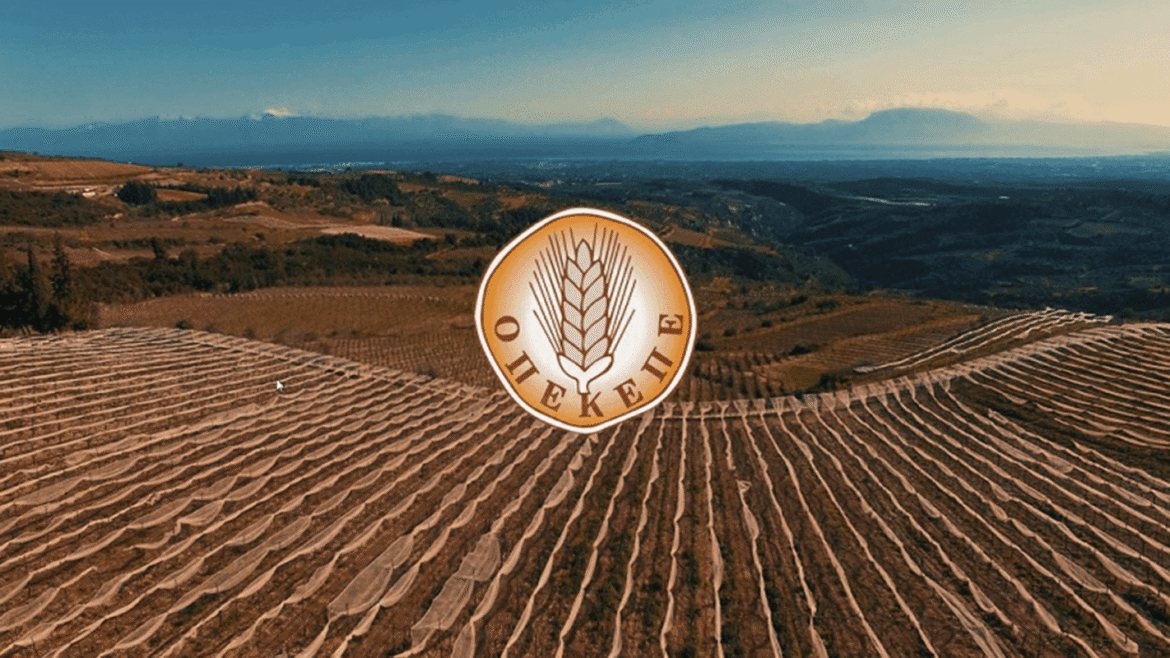 ΟΠΕΚΕΠΕ: «Με την κατανομή του 2020 ενσωματώθηκαν μέτρα που πρότεινε και ο Βάρρας» αναφέρουν συνεργάτες του